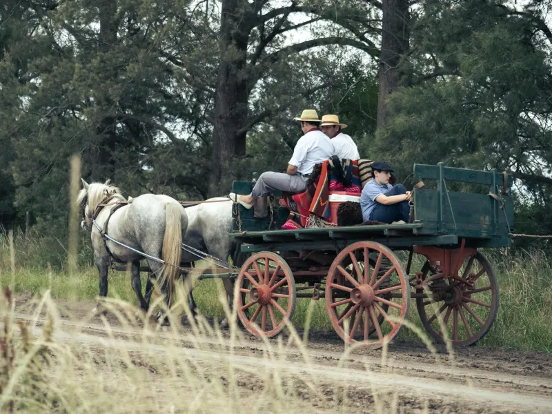 Americans Drive on the Right Because of Napoleon and Stubborn Colonists — Not Traffic Engineering