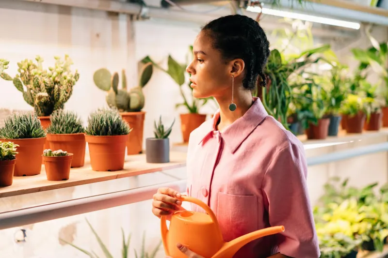 That NASA Study About Air-Purifying Plants Was Never Meant for Your Home